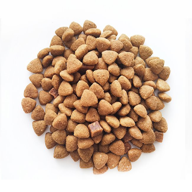 Dry Dog Food for Adult Dogs