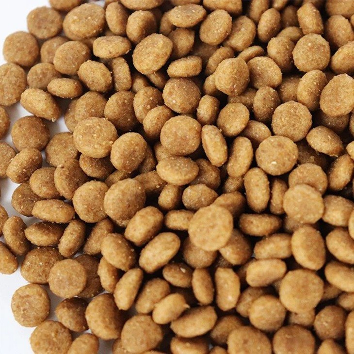 Grain Free Dry Dog Food